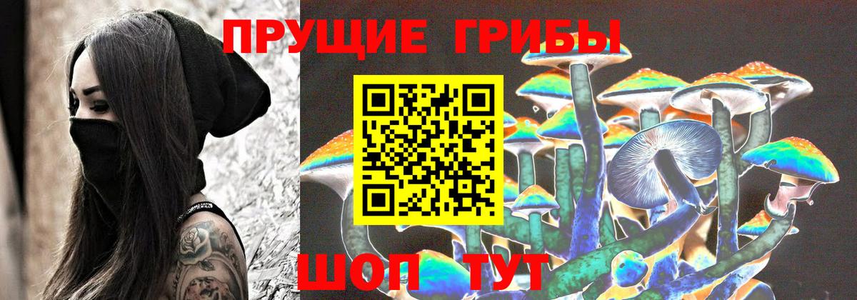 Галлюциногенные грибы Psilocybe  наркотики  Белорецк  Вход с VPN 